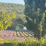 Le Tramontane Meuble De Tourisme 4 Etoiles Le Moulin De Predelles Vakantiehuis
