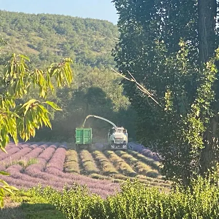 Le Tramontane Meuble De Tourisme 4 Etoiles Le Moulin De Predelles 別荘